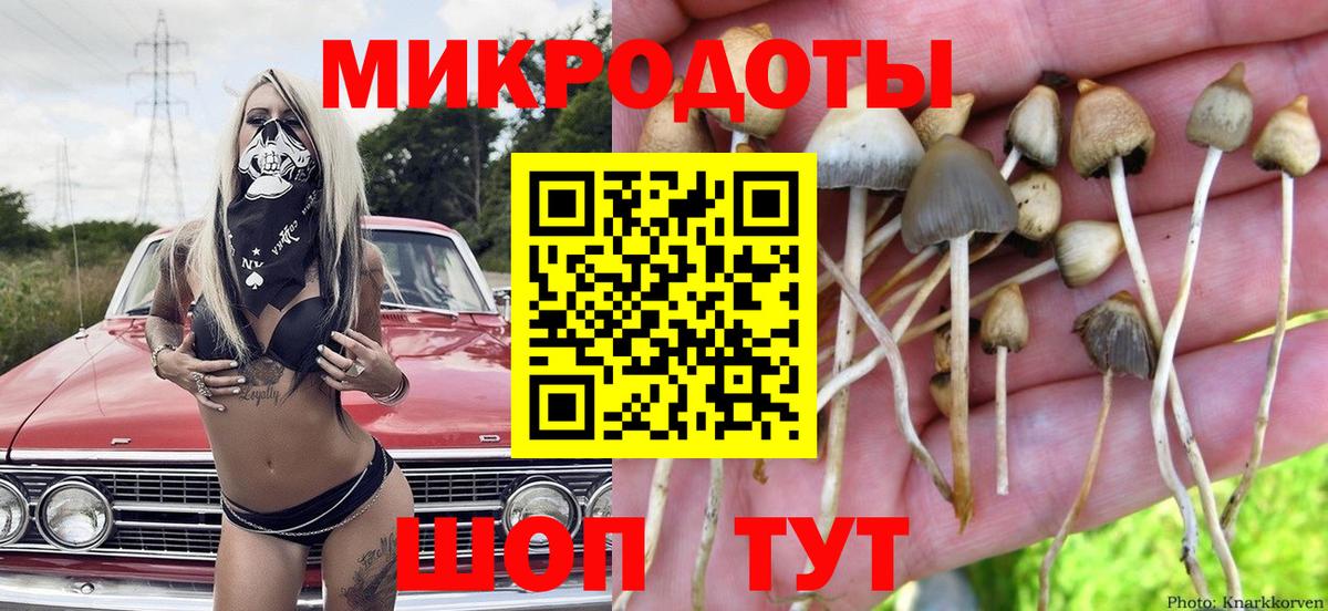 Псилоцибиновые грибы мухоморы  Вход с VPN  Менделеевск  Псилоцибиновые грибы ЛСД 