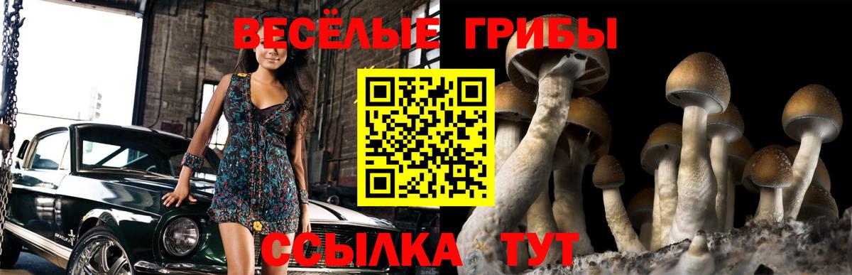 Меф МЯУ МЯУ   Менделеевск  Канабис  Кокаин  Вход с VPN  Гашиш 