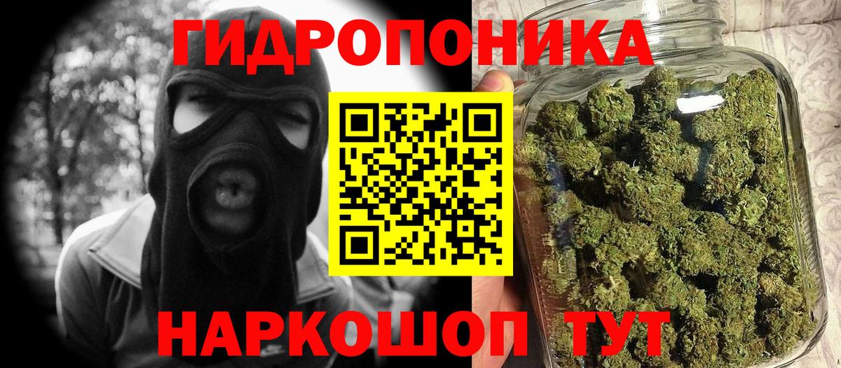 Конопля конопля  Вход с VPN  Бошки марихуана тримм  Менделеевск 